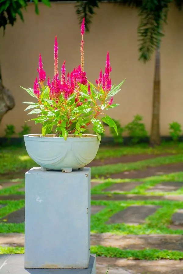 Woodnest Villas Negombo Hotel